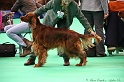 Crufts2011 363